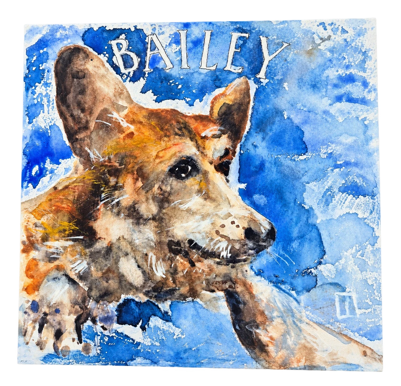 Bailey, dog portrait by Kris Herteleer