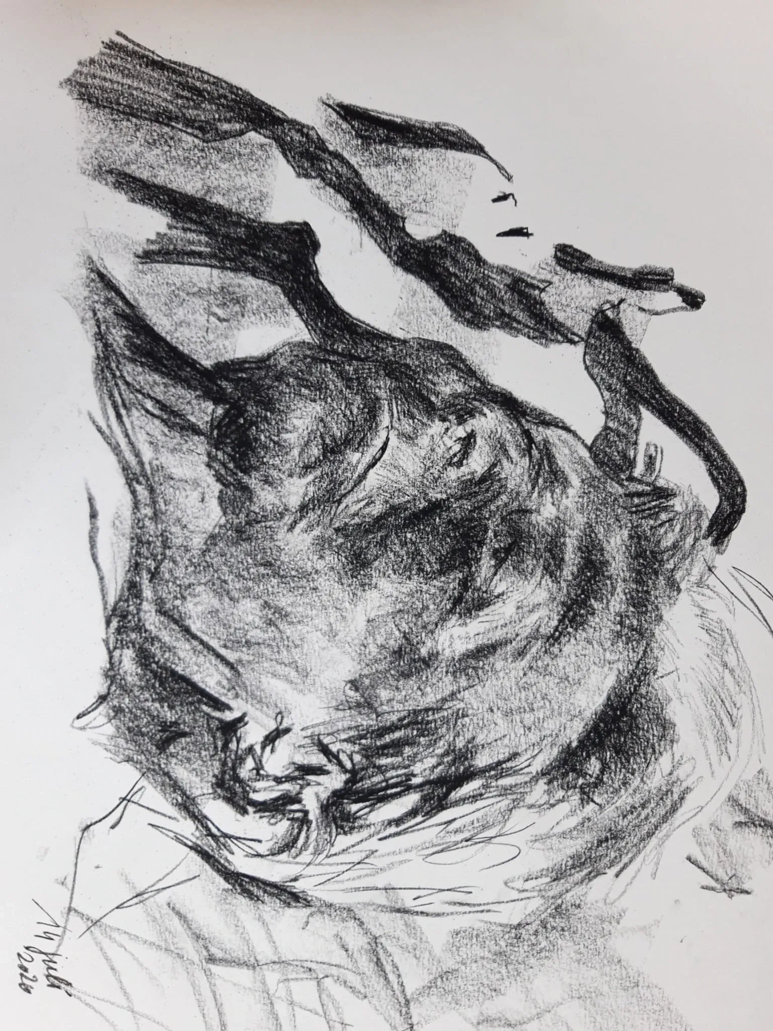 Moes, drawing by Kris Herteleer